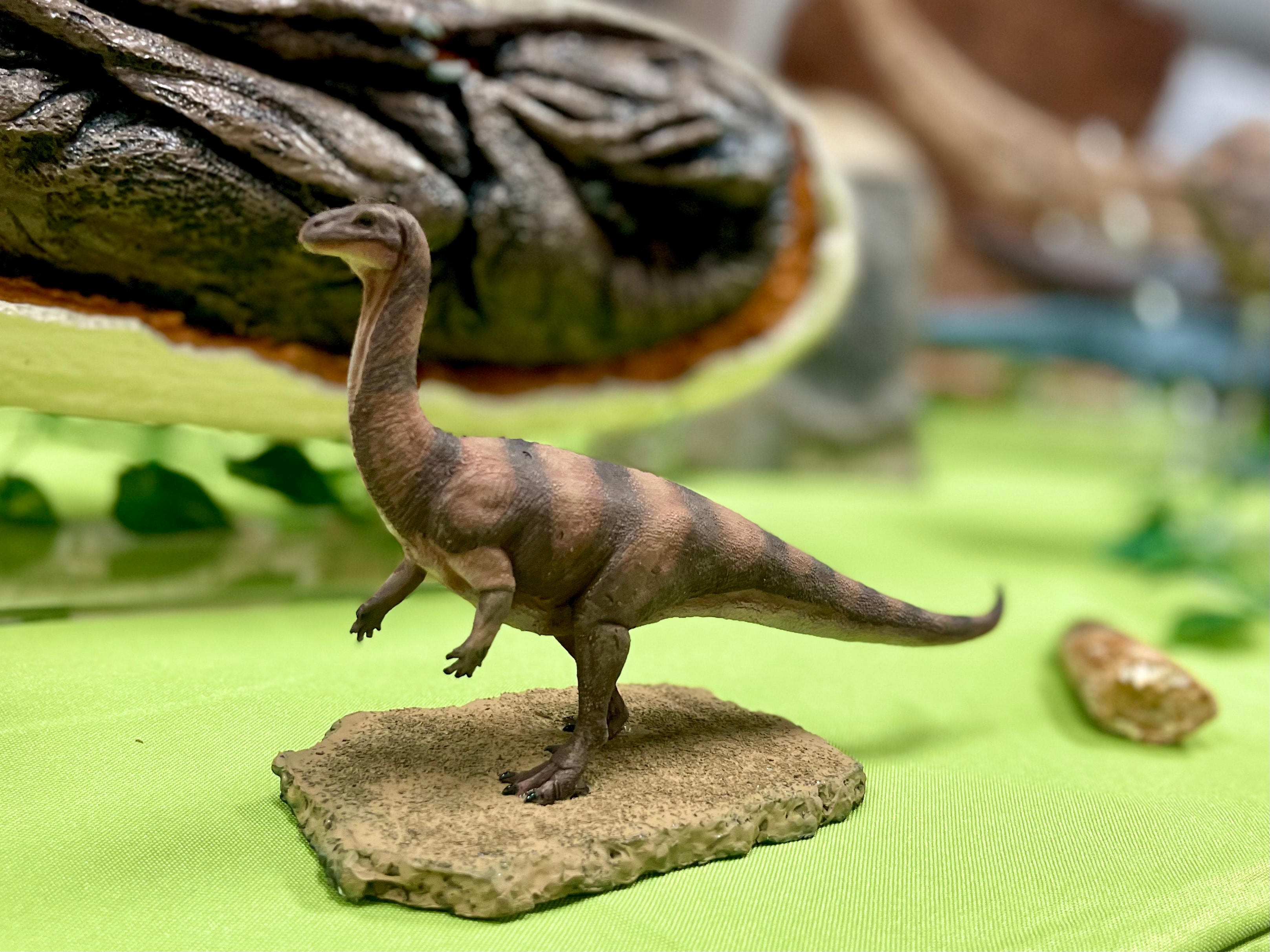 Dino Mike fossil experience