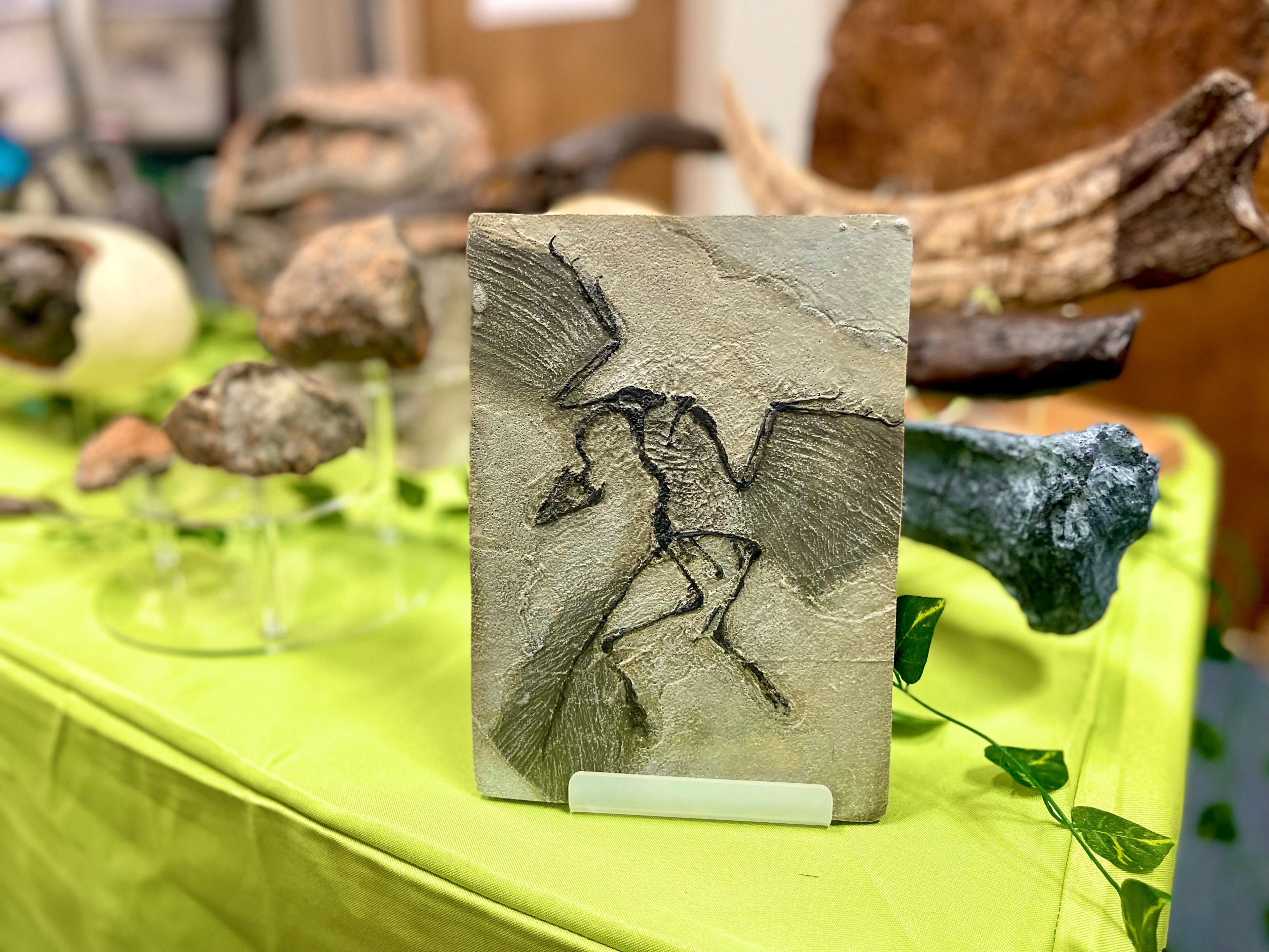 Dino Mike fossil experience