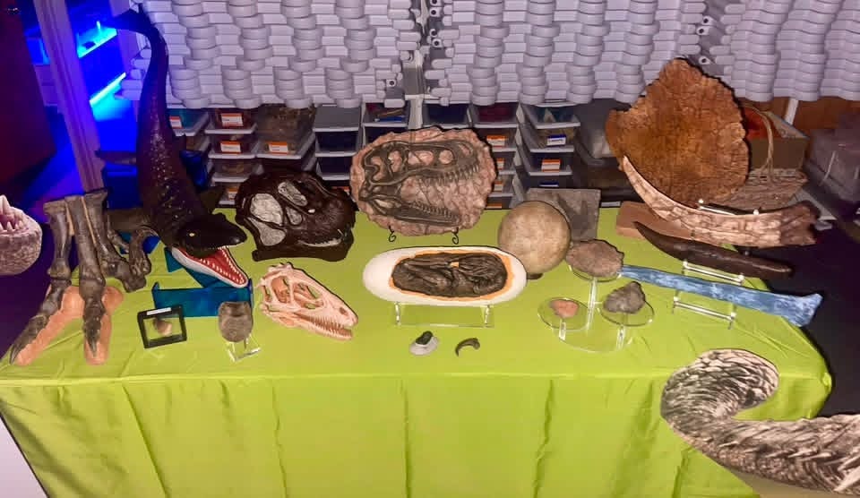 Dino Mike fossil and dinosaur display